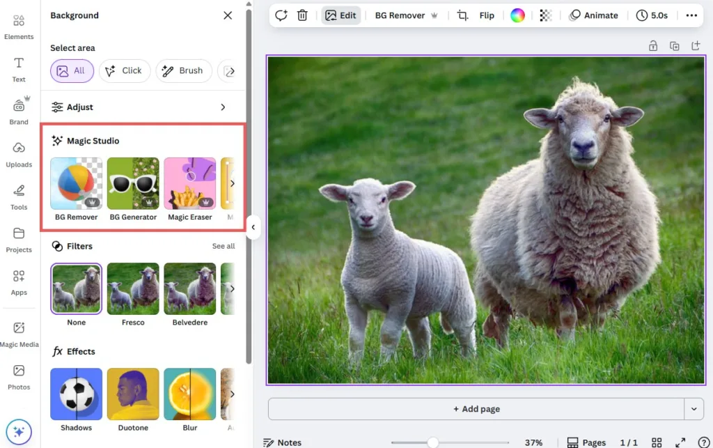 Canva AI Design Without Being a Designer